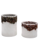 Spices Line